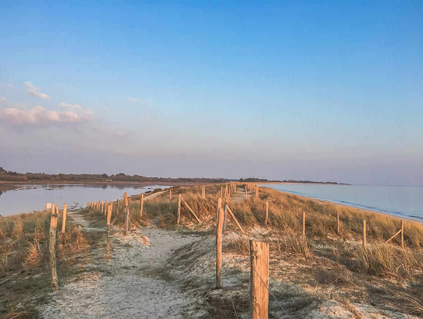 letty finistere sud