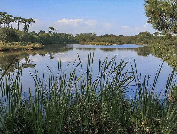 le marais de mousterlin finistere sud