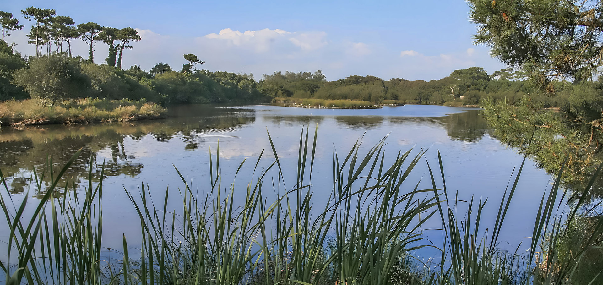 marais de mousterlin finistere sud