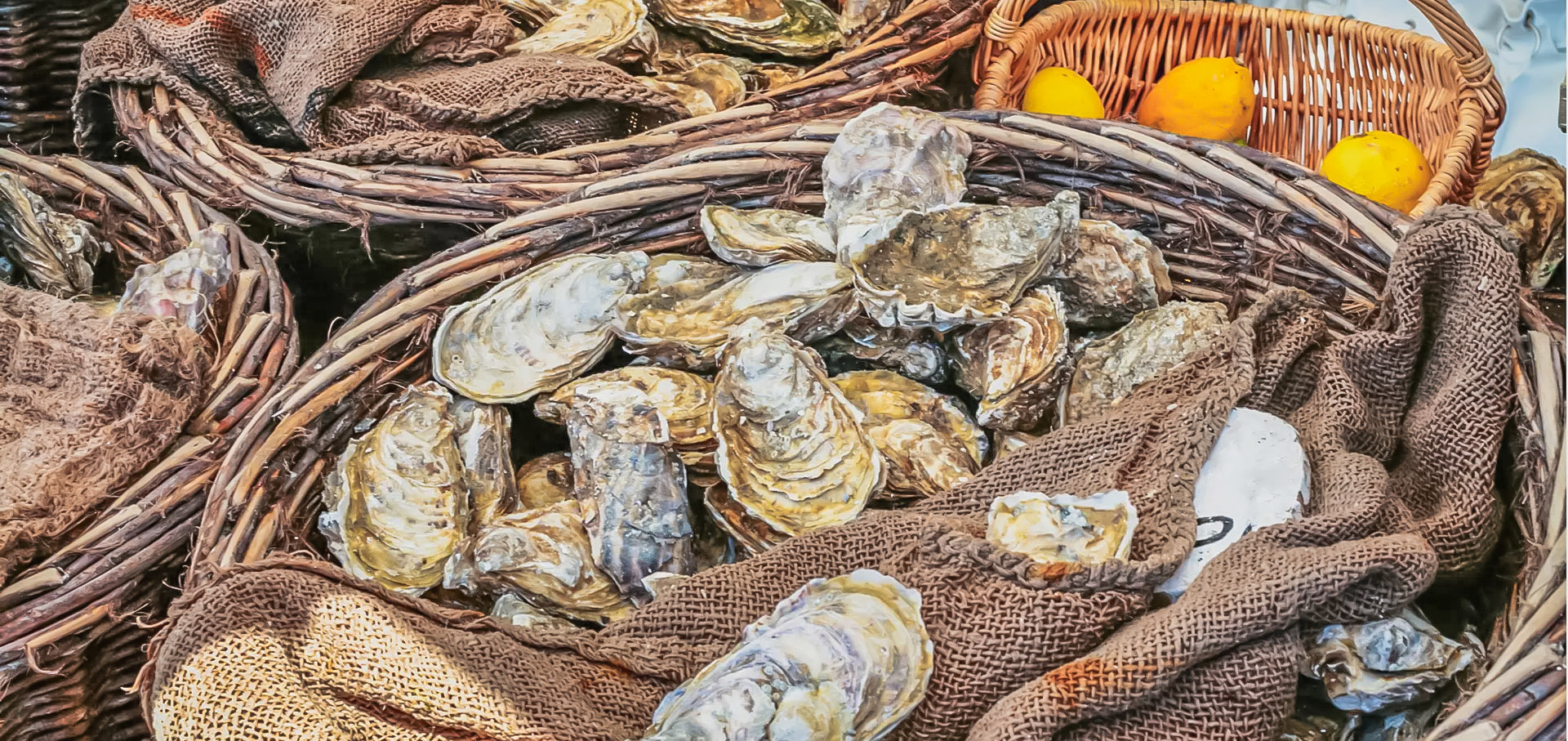 marches a savourer finistere sud