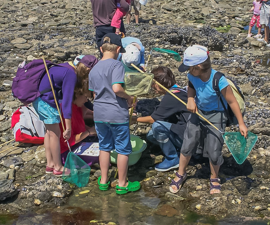 pratiquer la peche a pied